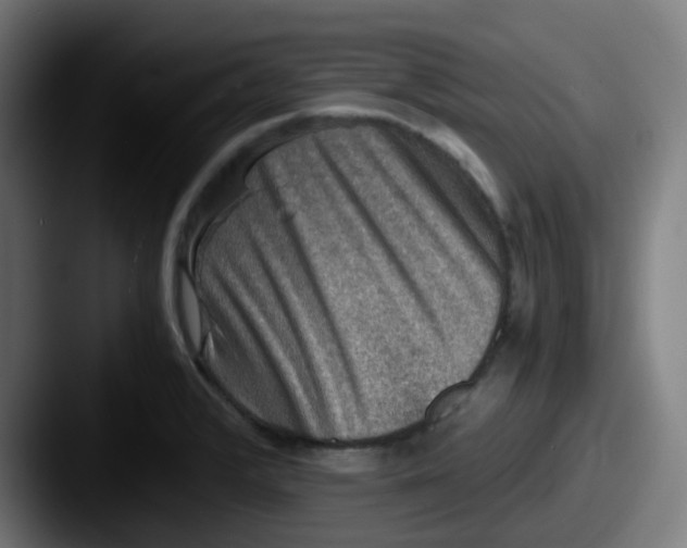 X0000087561376200705181117