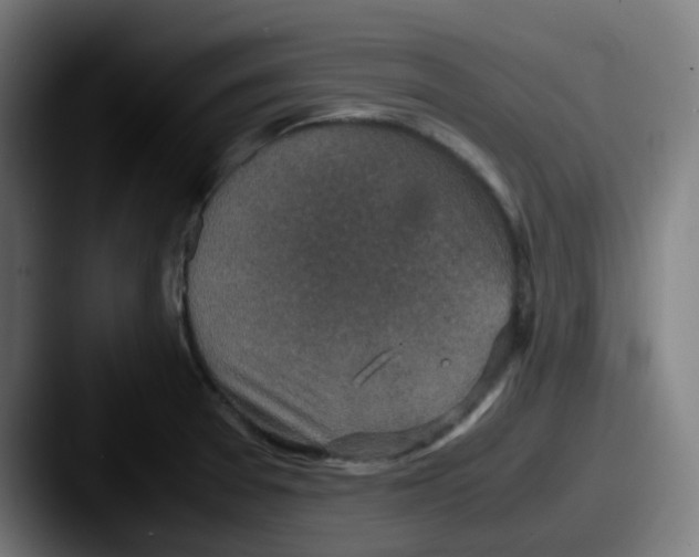 X0000087561377200705181117