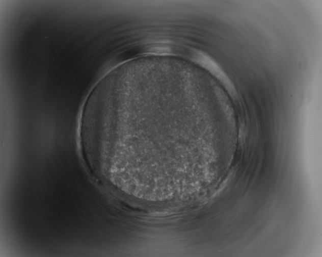 X0000087561378200705181117