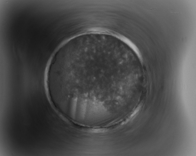 X0000087561381200705181117