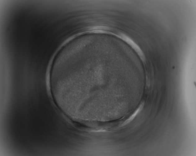 X0000087561384200705181117
