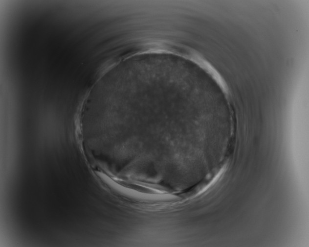 X0000087561385200705181116