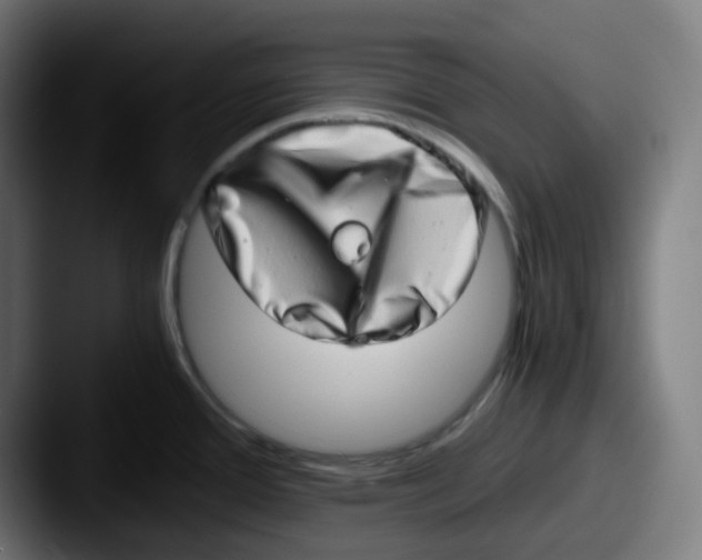 X0000087561388200705181116