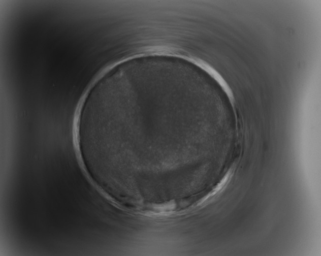 X0000087561389200705181116