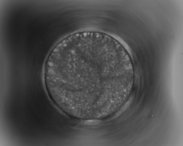X0000087561390200705181116
