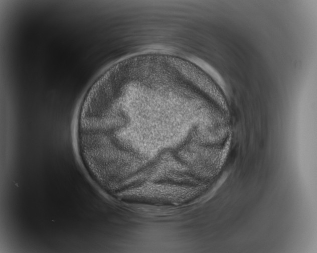 X0000087561391200705181116