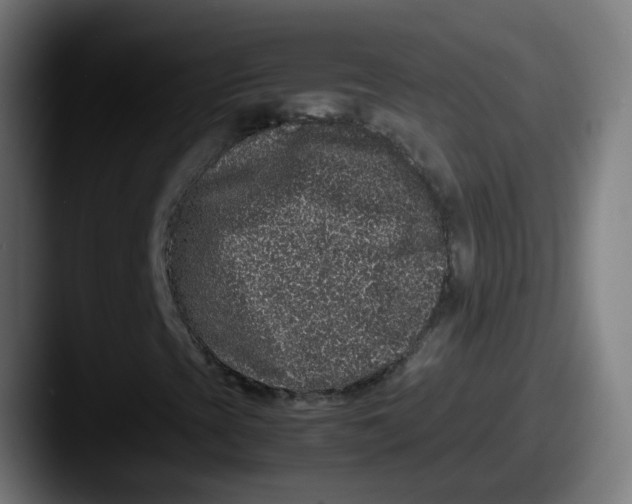 X0000087561393200705181116