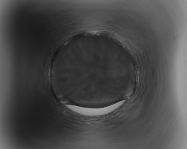 X0000087561394200705181116
