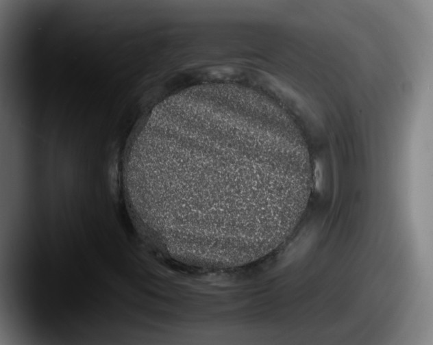 X0000087561395200705181116