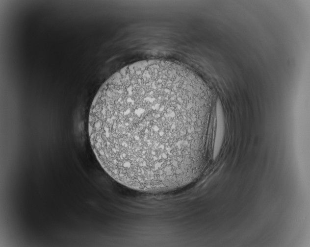 X0000087561396200705181116