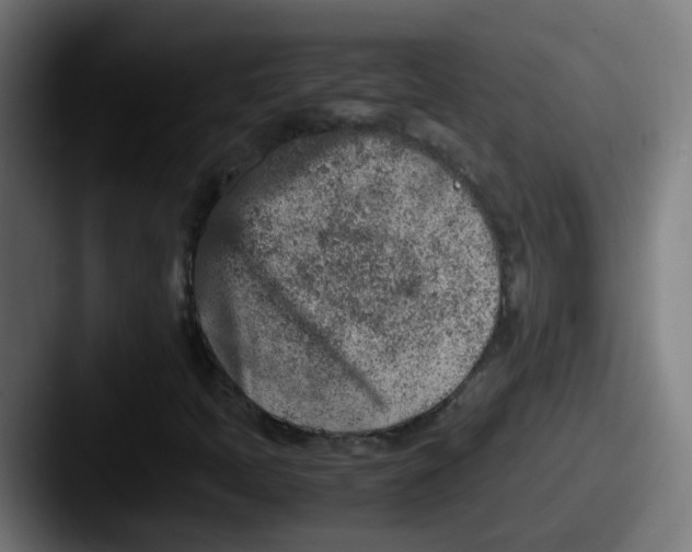 X0000087561397200705181116