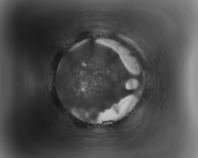 X0000087561399200705181116
