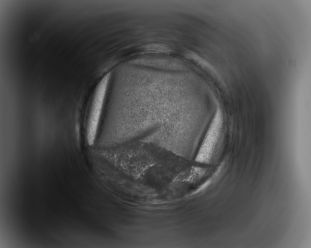 X0000087561401200705181116