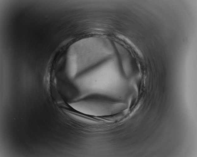 X0000087561402200705181116