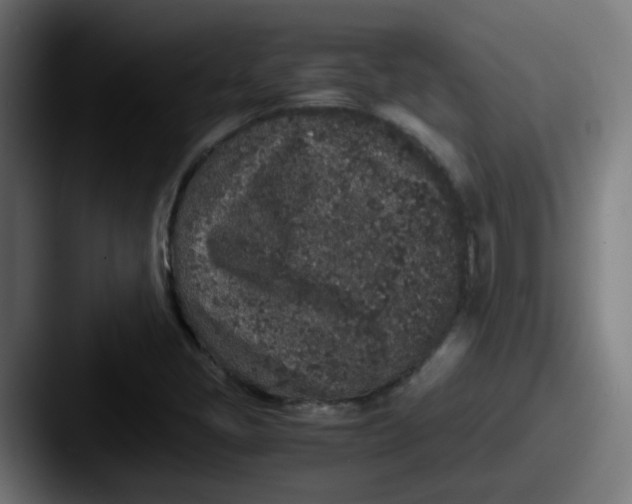 X0000087561405200705181116