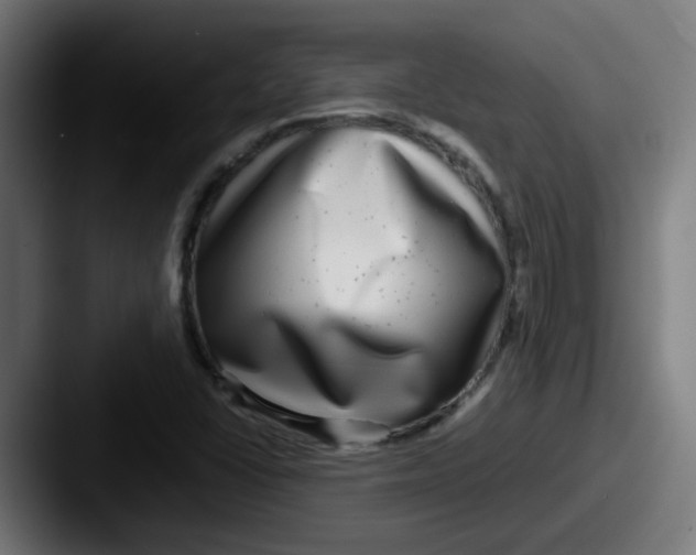X0000087561406200705181116