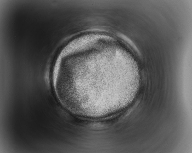 X0000087561408200705181116