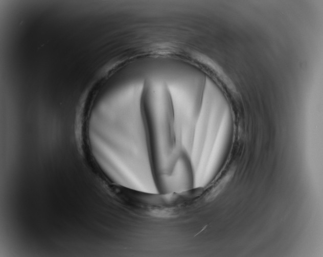 X0000087561410200705181116
