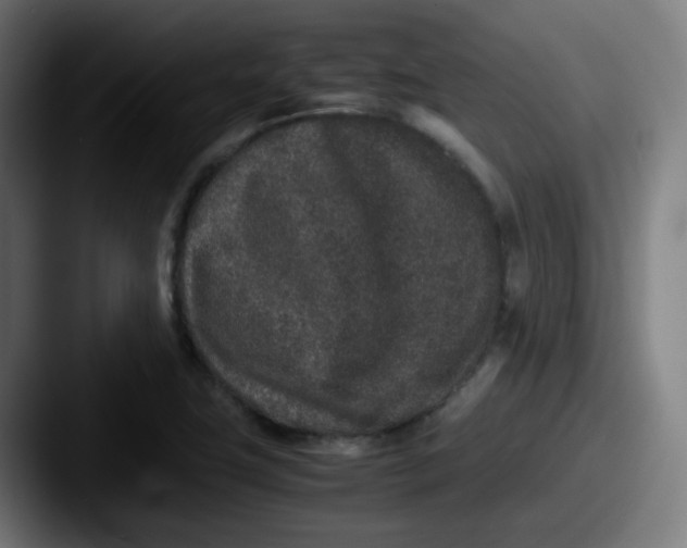 X0000087561411200705181116