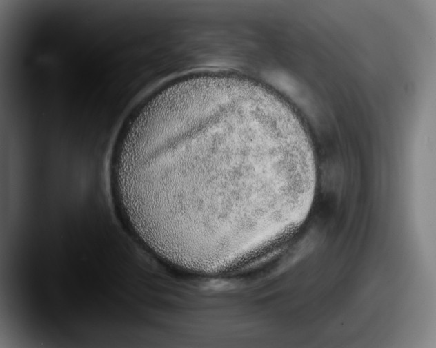 X0000087561412200705181116