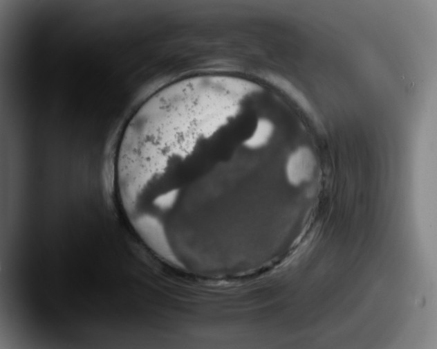 X0000087561413200705181116