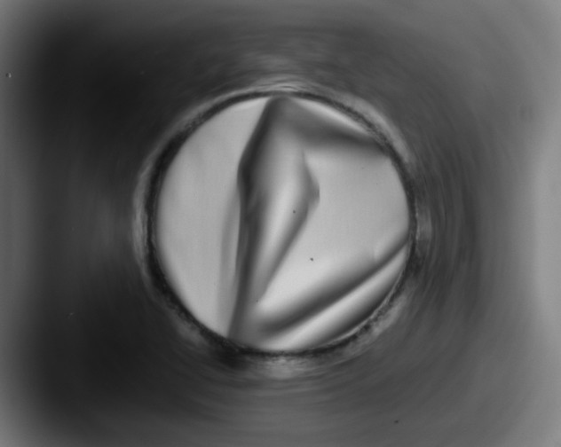 X0000087561414200705181116