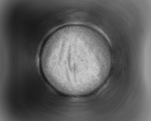 X0000087561416200705181116