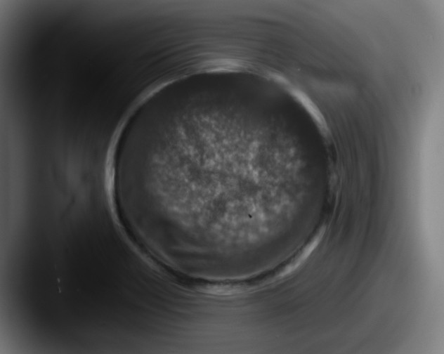 X0000087561418200705181116