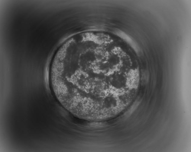 X0000087561419200705181116