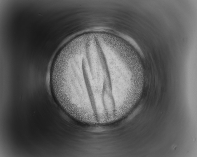 X0000087561420200705181116