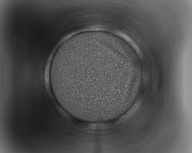 X0000087561421200705181116