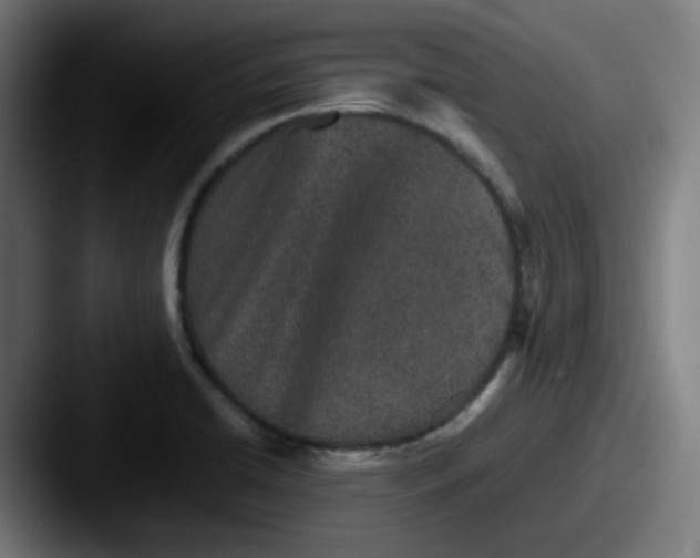 X0000087561422200705181116