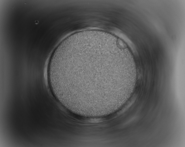 X0000087561423200705181116