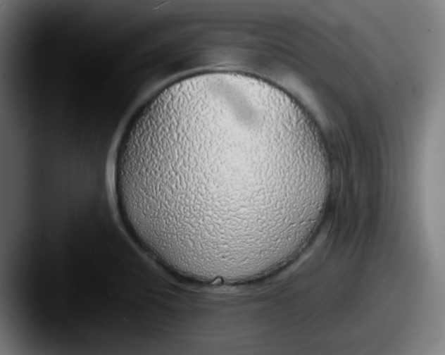 X0000087561424200705181116