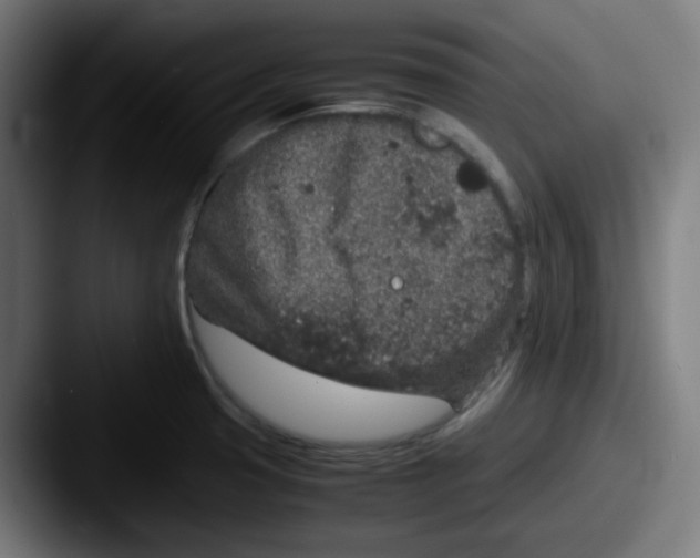 X0000087561425200705181116
