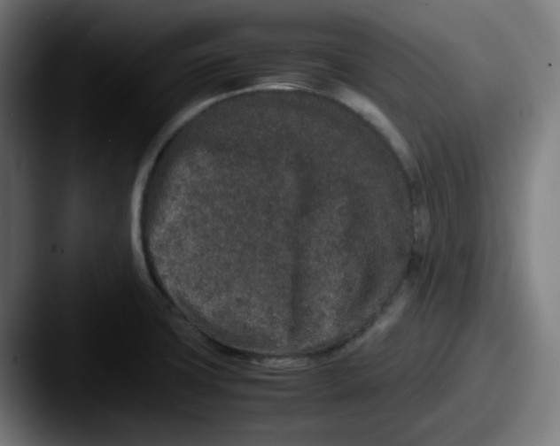 X0000087561427200705181116
