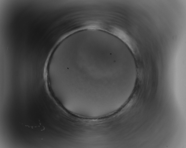 X0000087561428200705181116