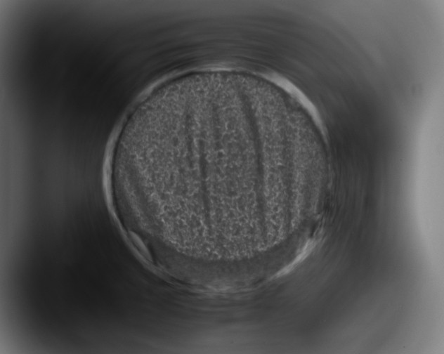 X0000087561429200705181116