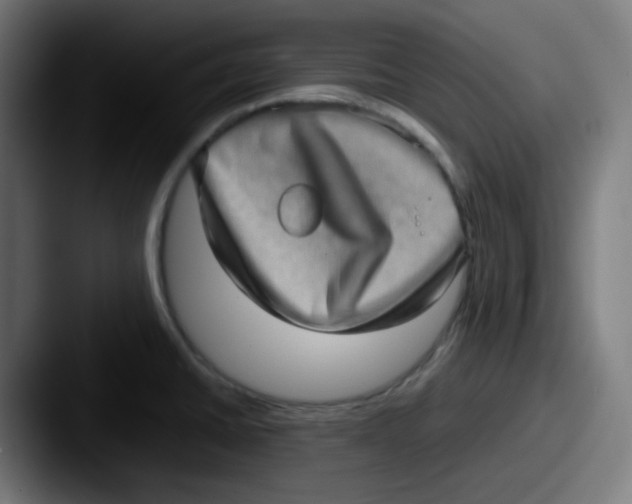 X0000087561430200705181116