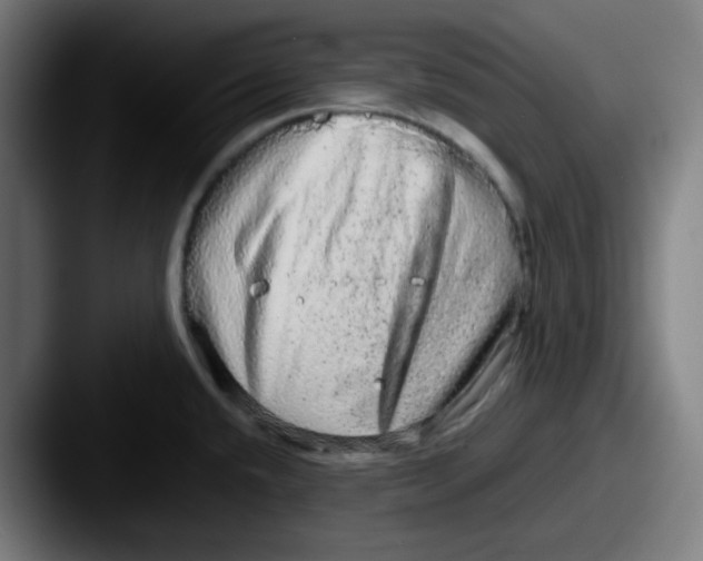 X0000087561432200705181116