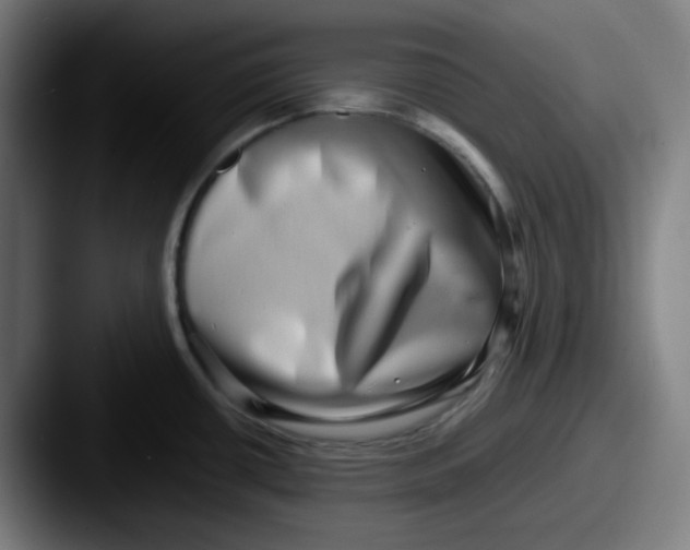 X0000087561434200705181116
