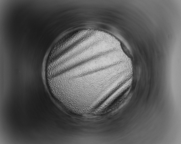 X0000087561437200705181116