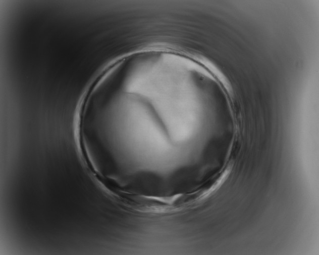X0000087561438200705181116