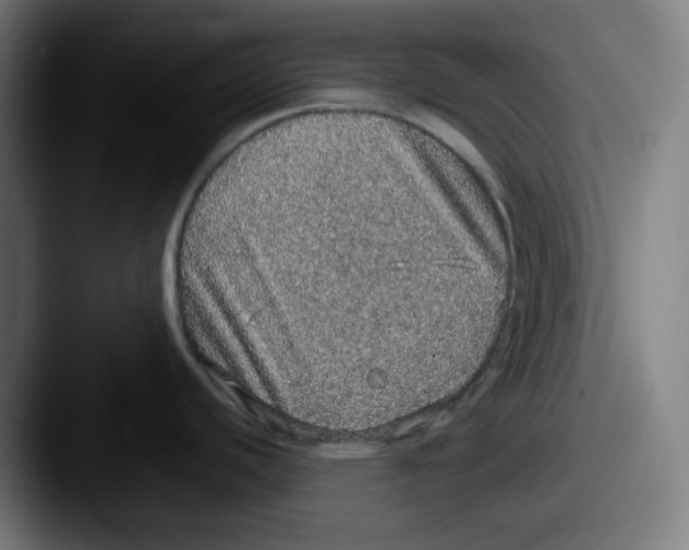 X0000087561440200705181116