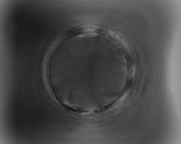 X0000087561441200705181116