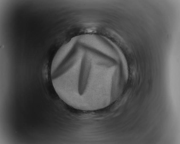 X0000087561442200705181116