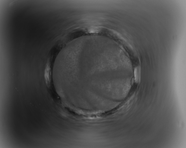 X0000087561443200705181116