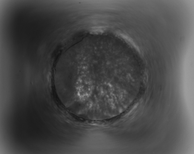 X0000087561445200705181116