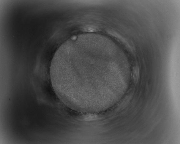X0000087561446200705181116