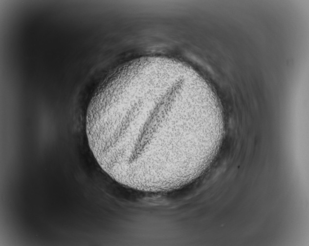 X0000087561447200705181116